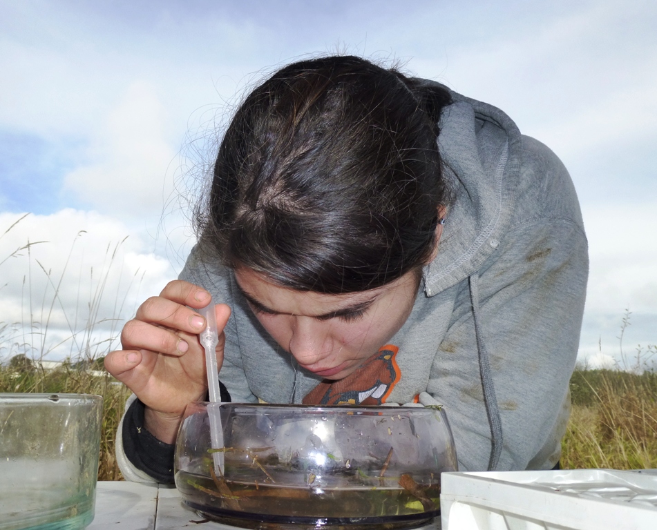 Photo 2 from COQUILLE WATERSHED ASSOCIATION