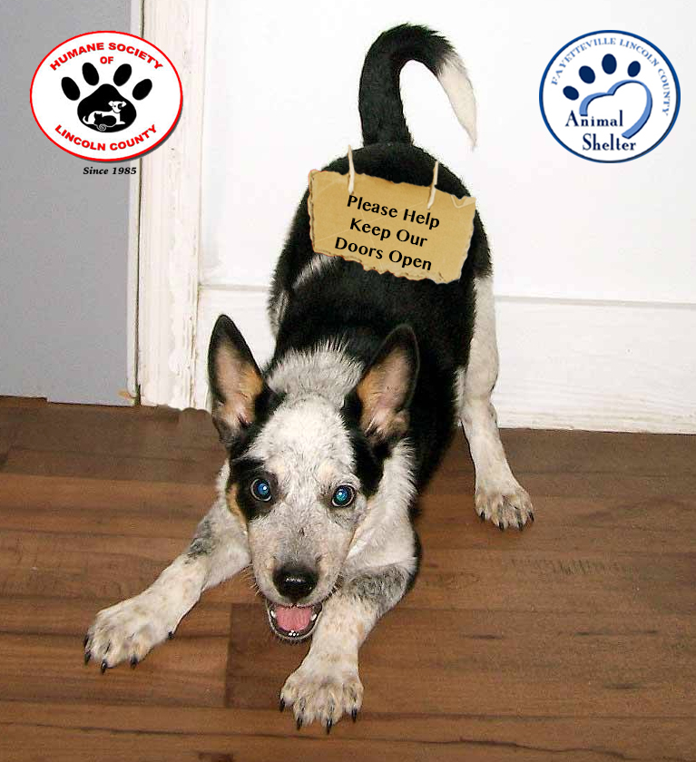 Photo 7 from Humane Society of Lincoln County