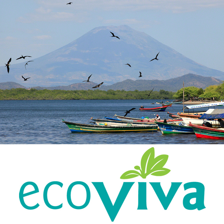 Photo 6 from EcoViva