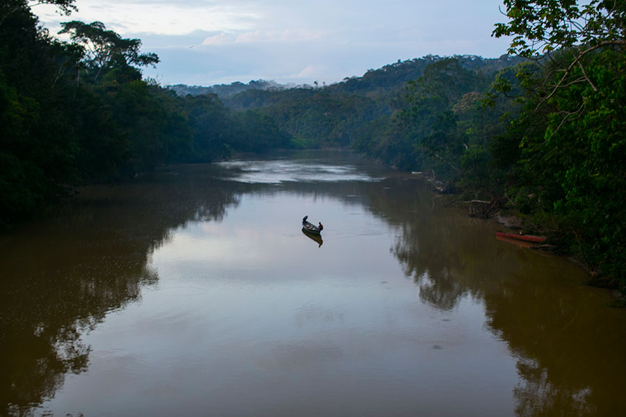 Photo 2 from Amazon Watch