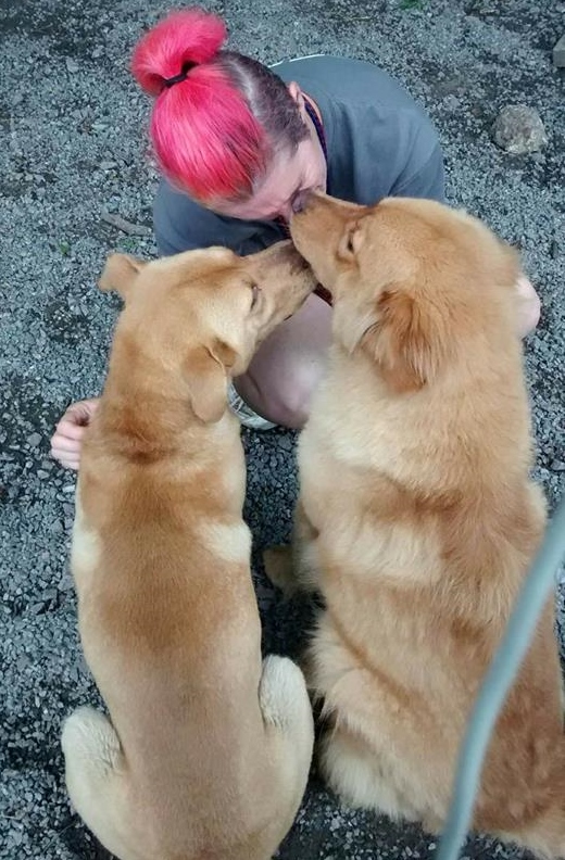 Photo 2 from JASPER ANIMAL RESCUE MISSION