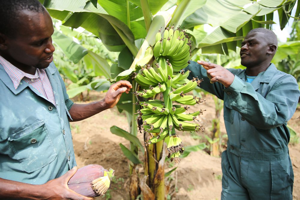 Photo 5 from Empowering Lives International