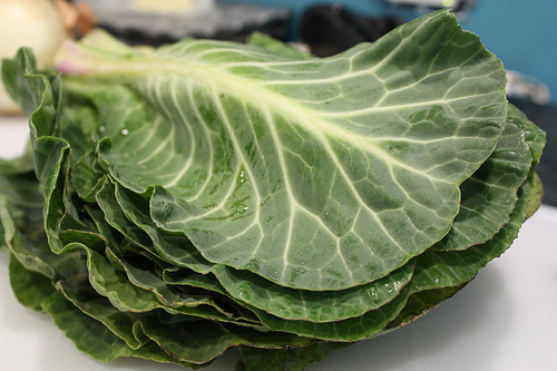 Photo 2 from Capital Area Food Bank