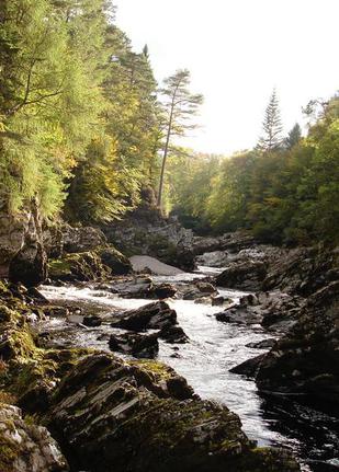 Photo 4 from THE HYGEIA FOUNDATION FOR HEALTH SCIENCE AND THE ENVIRONMENT INC