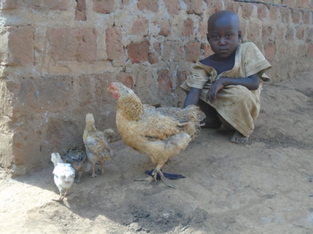 Photo 6 from Abaana Community Outreach Africa (ACO-Africa)