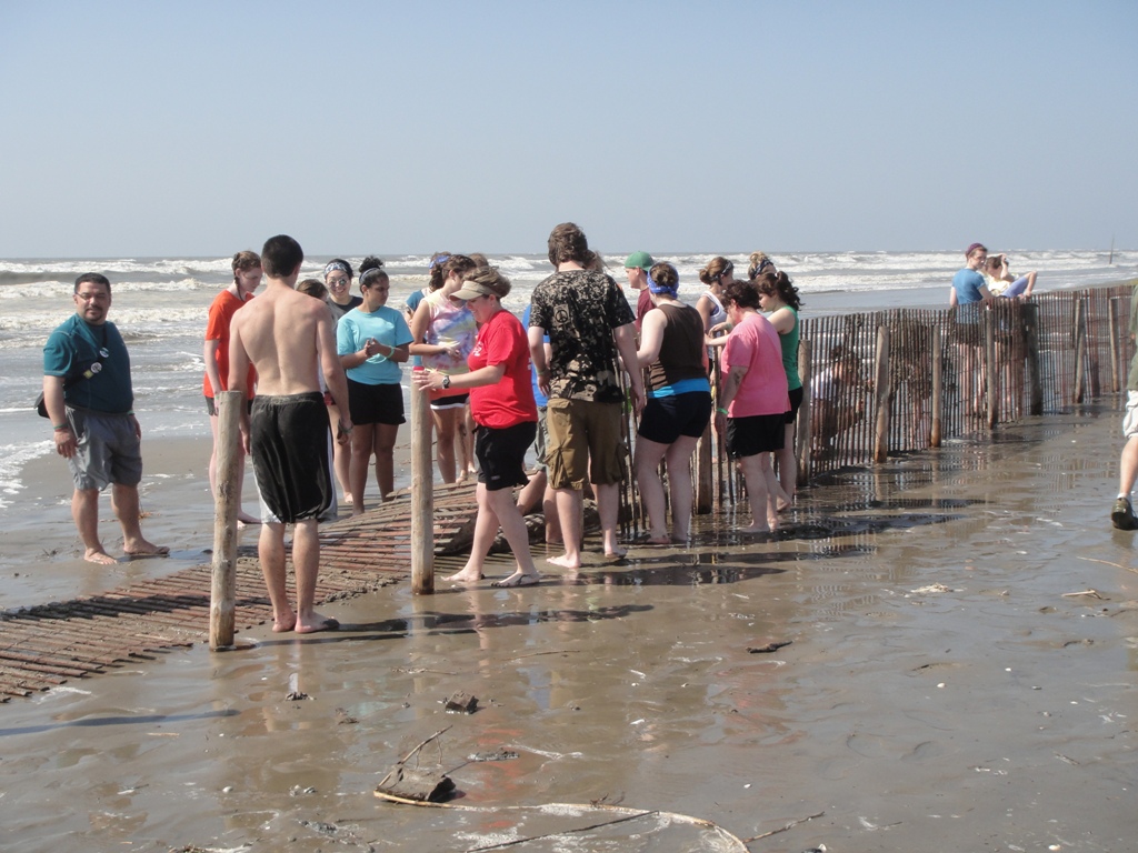 Photo 4 from RESTORE AMERICA'S ESTUARIES