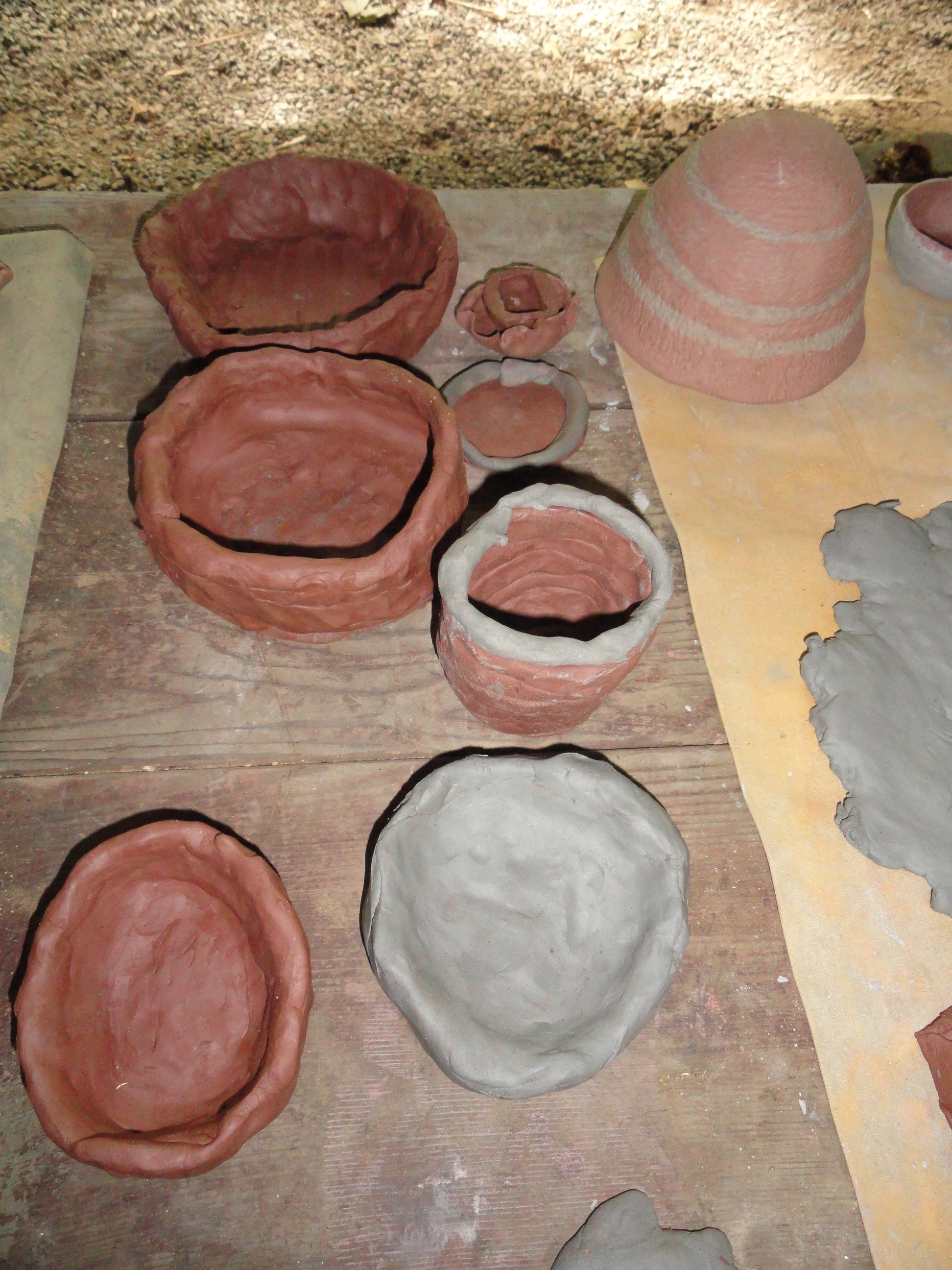 Photo 1 from Children of the Earth Foundation