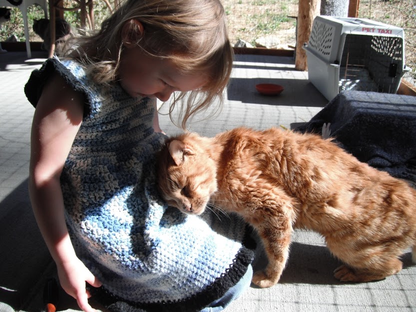 Photo 1 from Sanctuary One