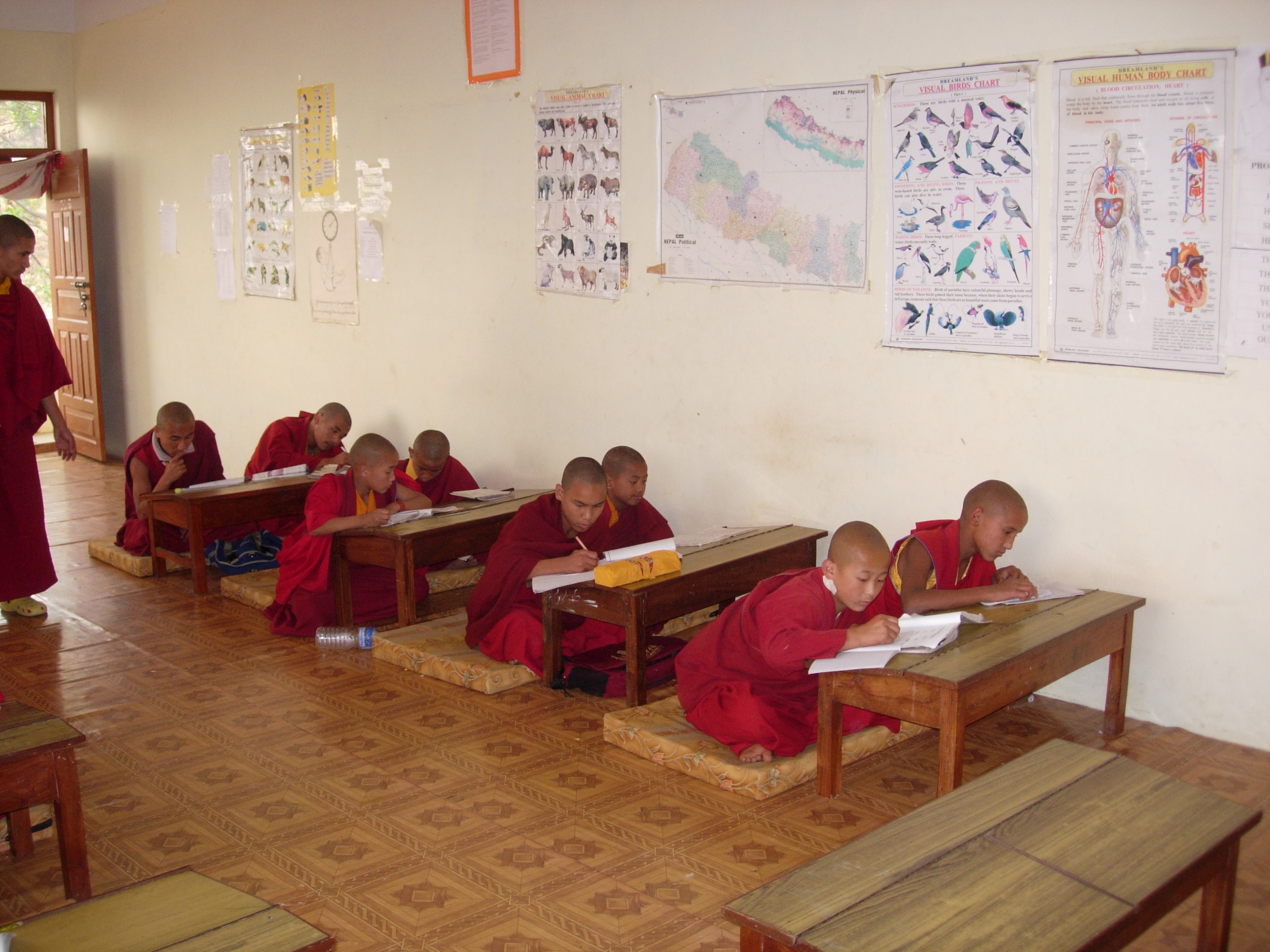 Photo 6 from HIMALAYAN CHILDRENS FUND