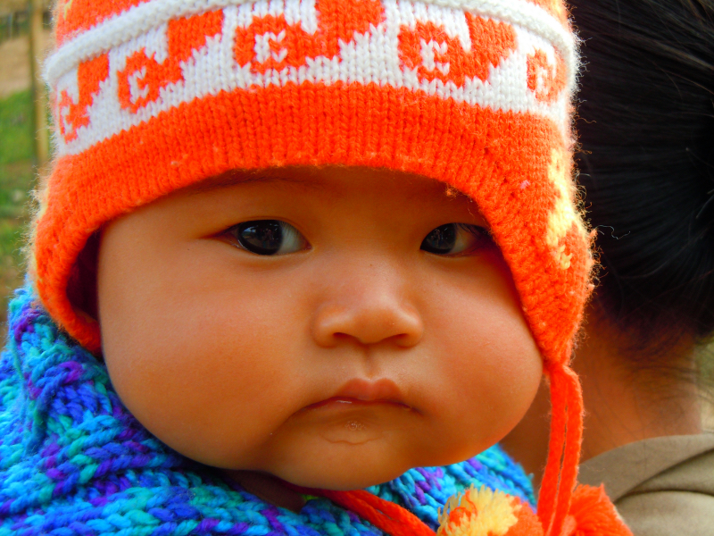 Photo 6 from GLOBAL REFUGE INTERNATIONAL                                           