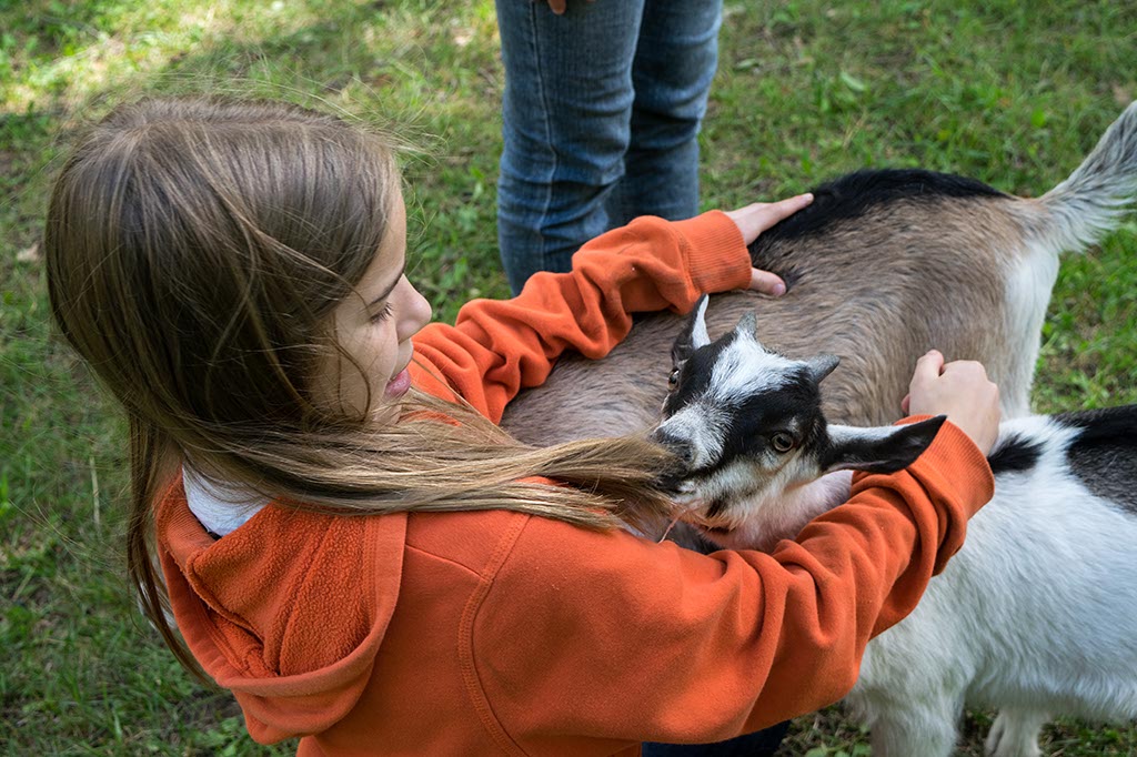 Photo 3 from Fort Wilderness