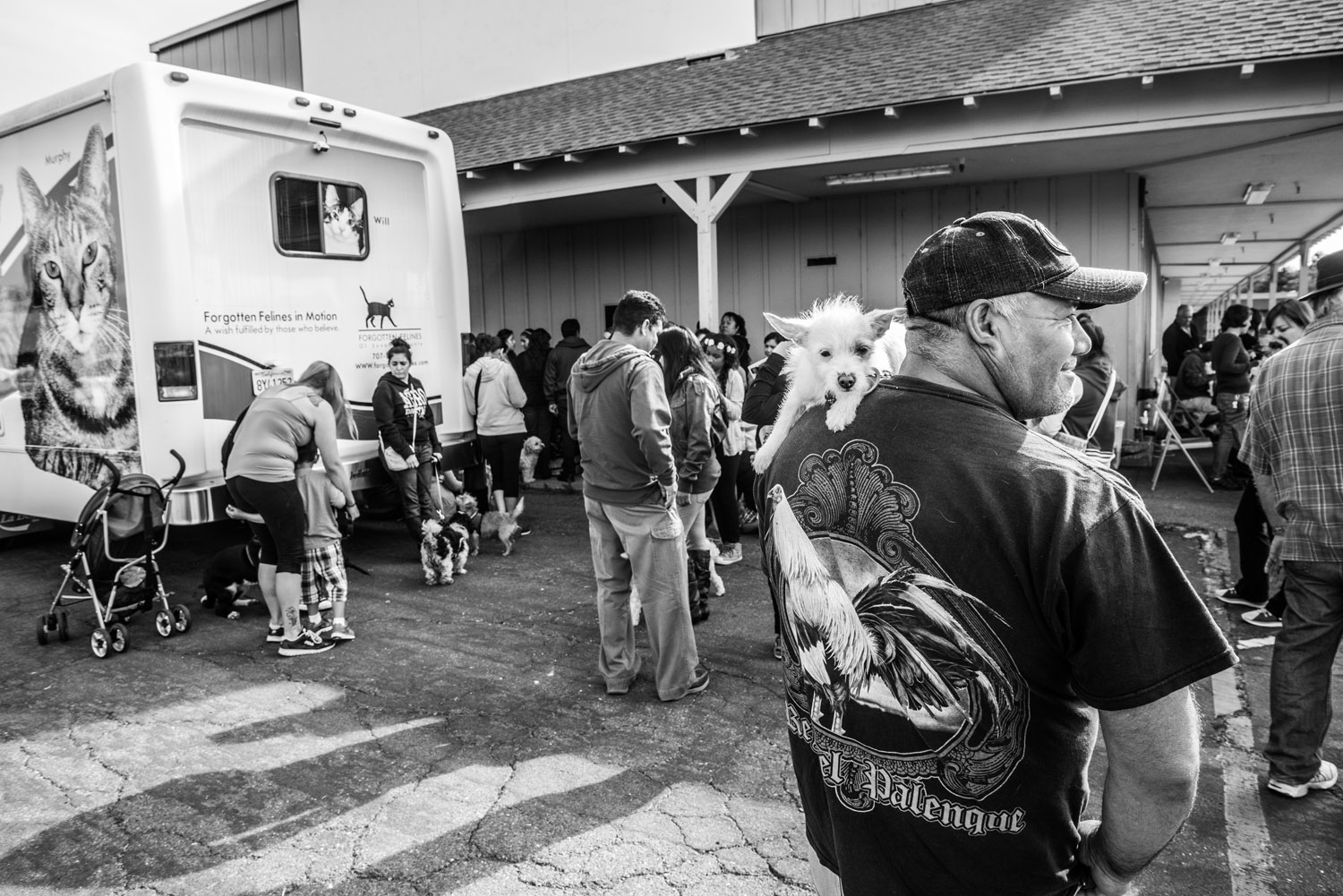 Photo 2 from Compassion Without Borders