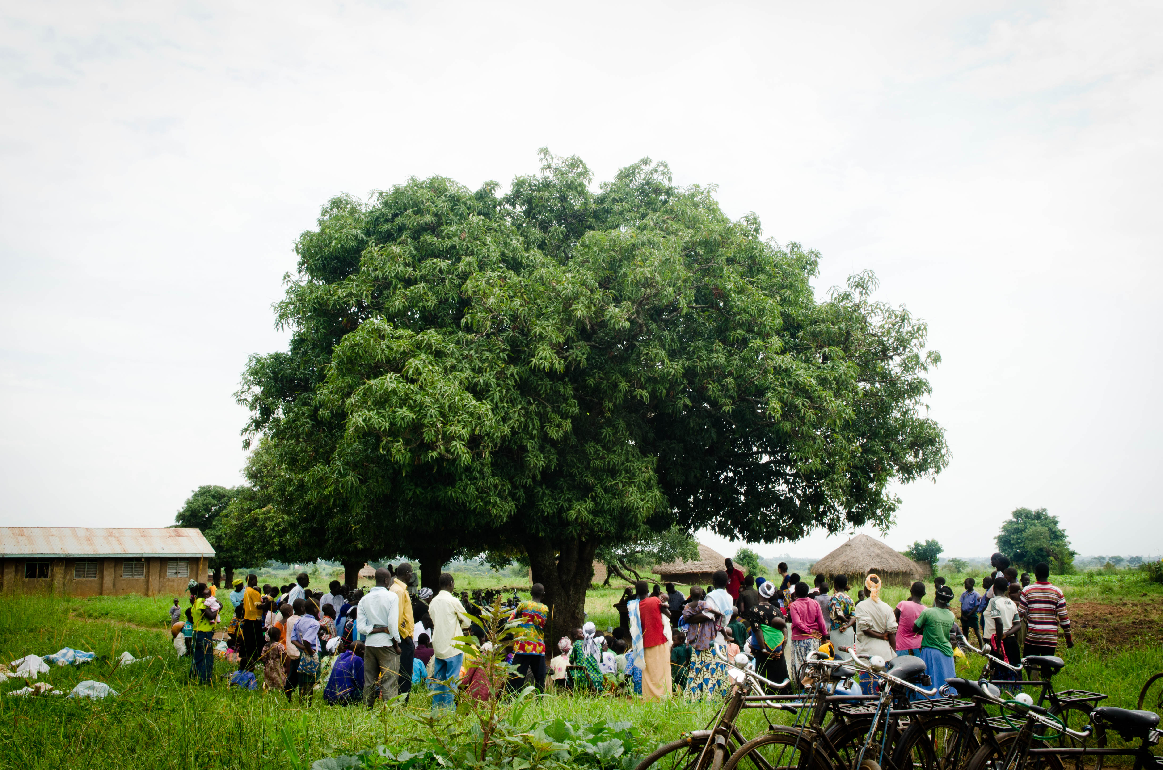 Photo 3 from GLOBAL REFUGE INTERNATIONAL                                           