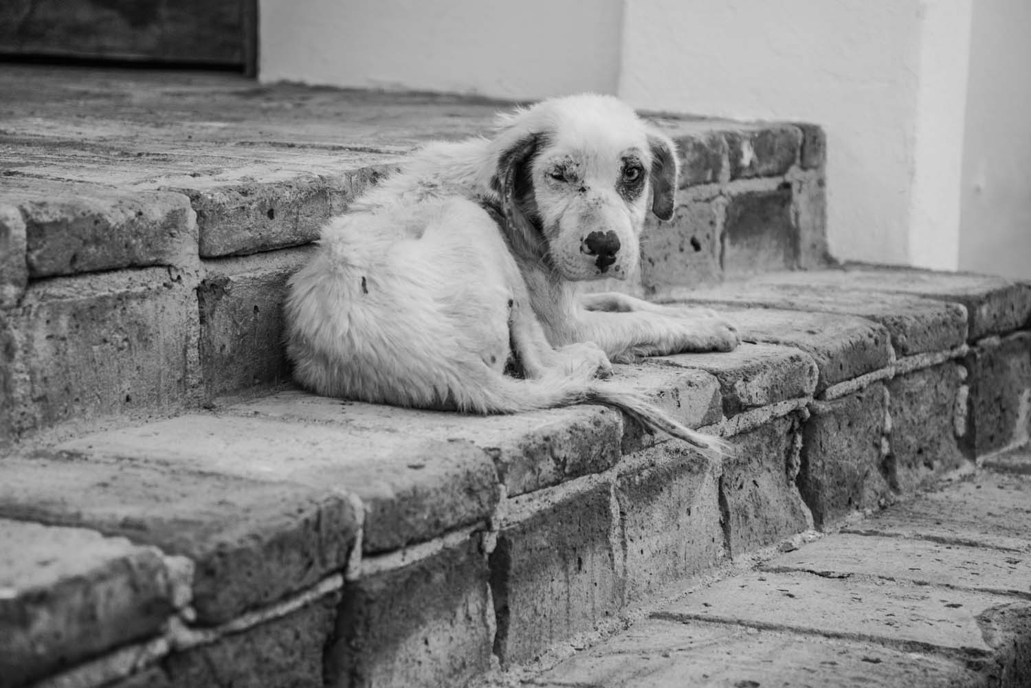 Photo 3 from Compassion Without Borders