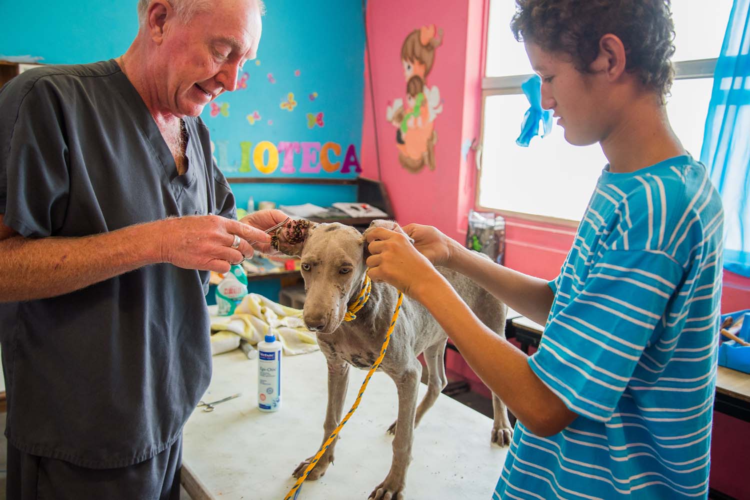 Photo 5 from Compassion Without Borders