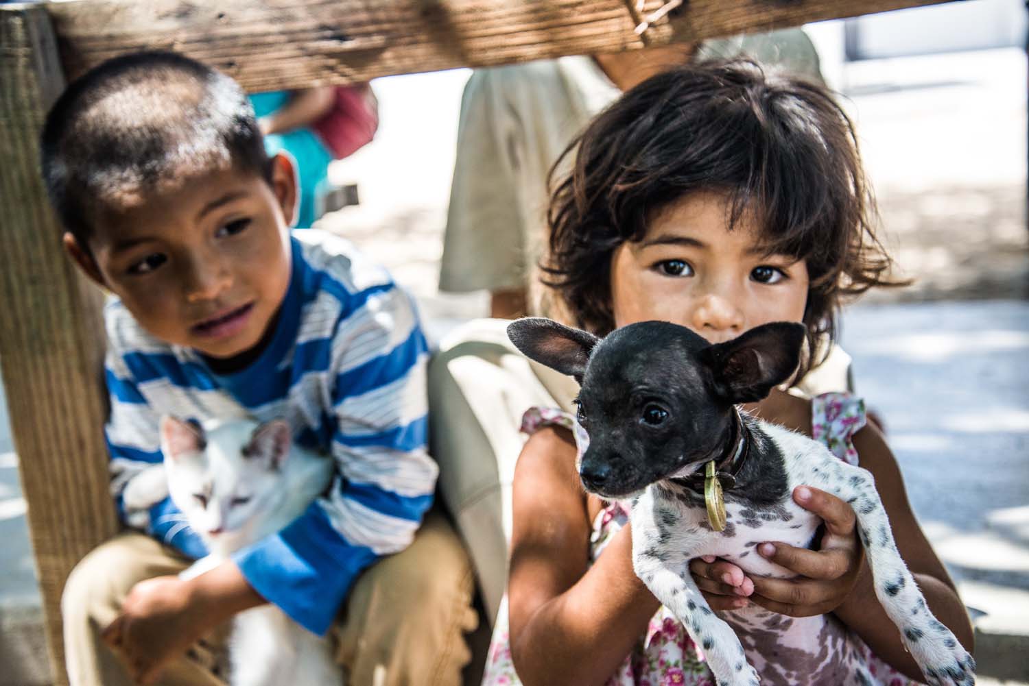 Photo 4 from Compassion Without Borders