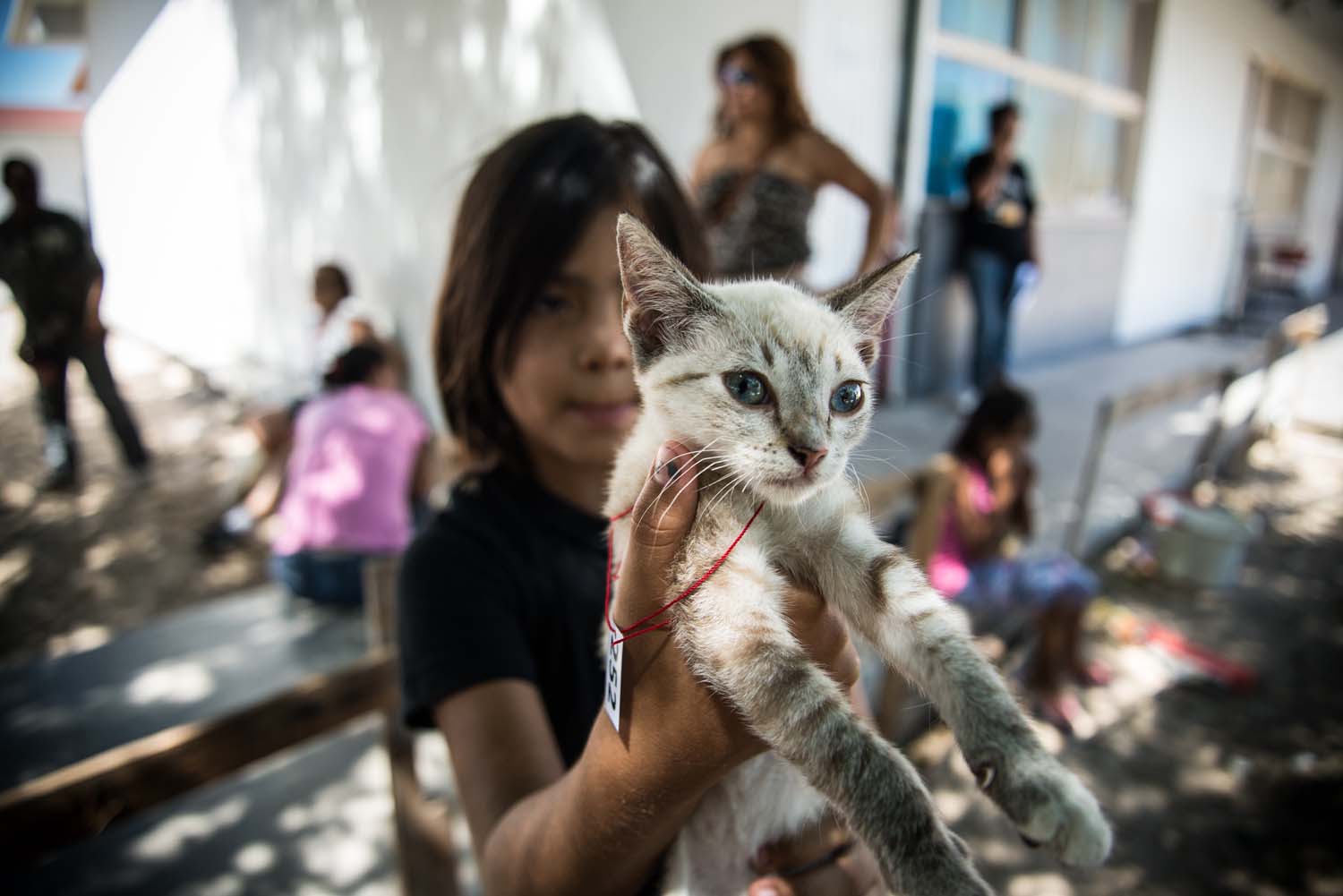 Photo 7 from Compassion Without Borders