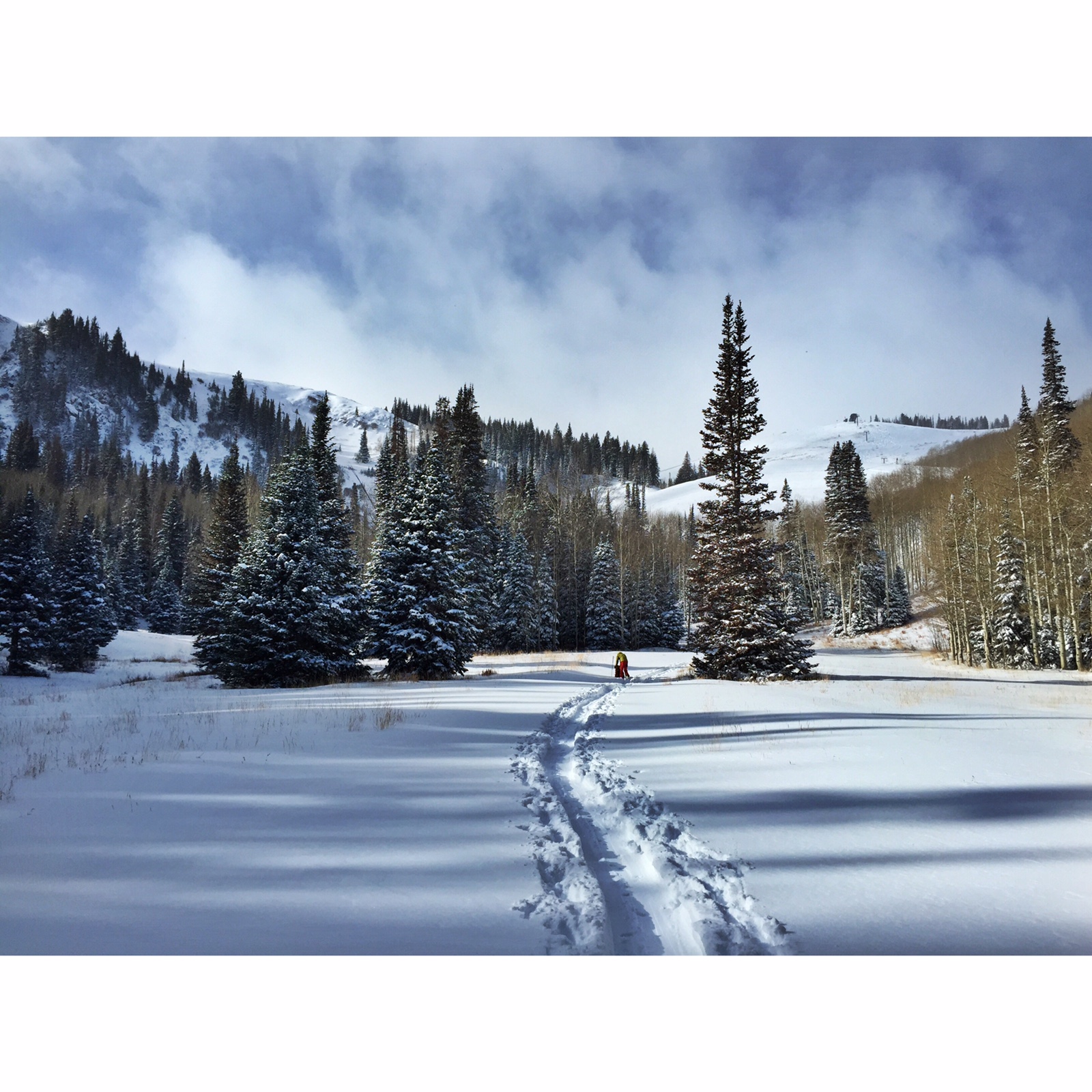 Photo 3 from SUMMIT LAND CONSERVANCY