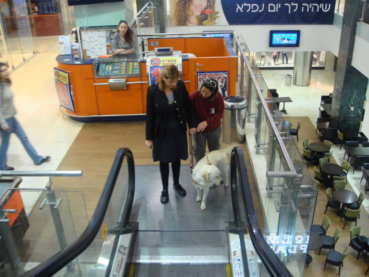 Photo 6 from ISRAEL GUIDE DOG CENTER FOR THE BLIND