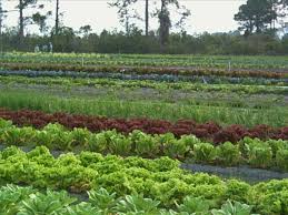 Photo 5 from Needful Provision, Inc.