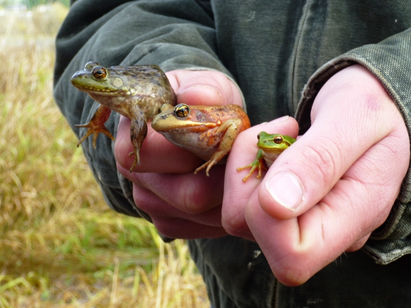 Photo 3 from COQUILLE WATERSHED ASSOCIATION
