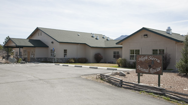 Photo 6 from High Sierra Animal Rescue
