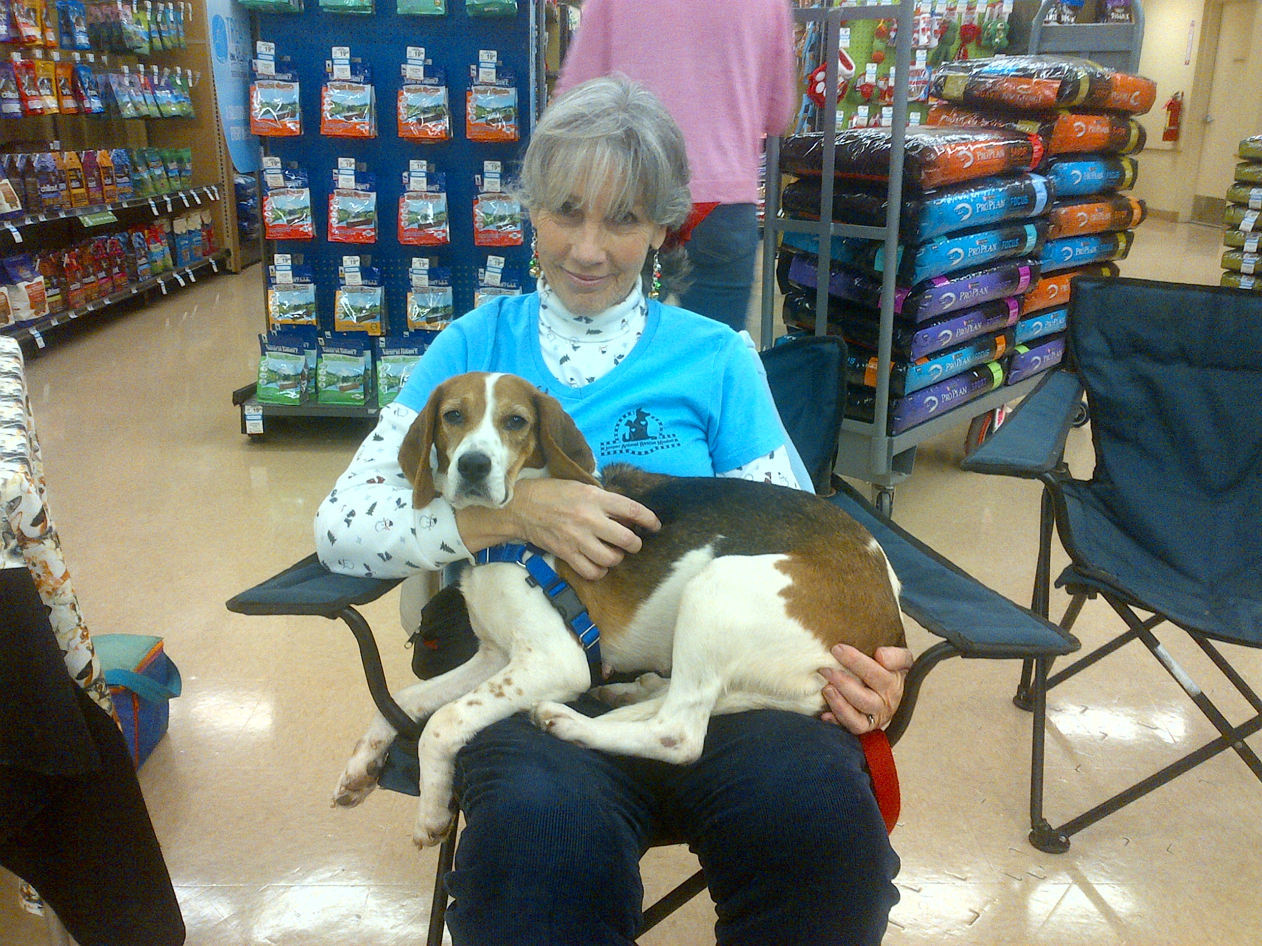 Photo 3 from JASPER ANIMAL RESCUE MISSION