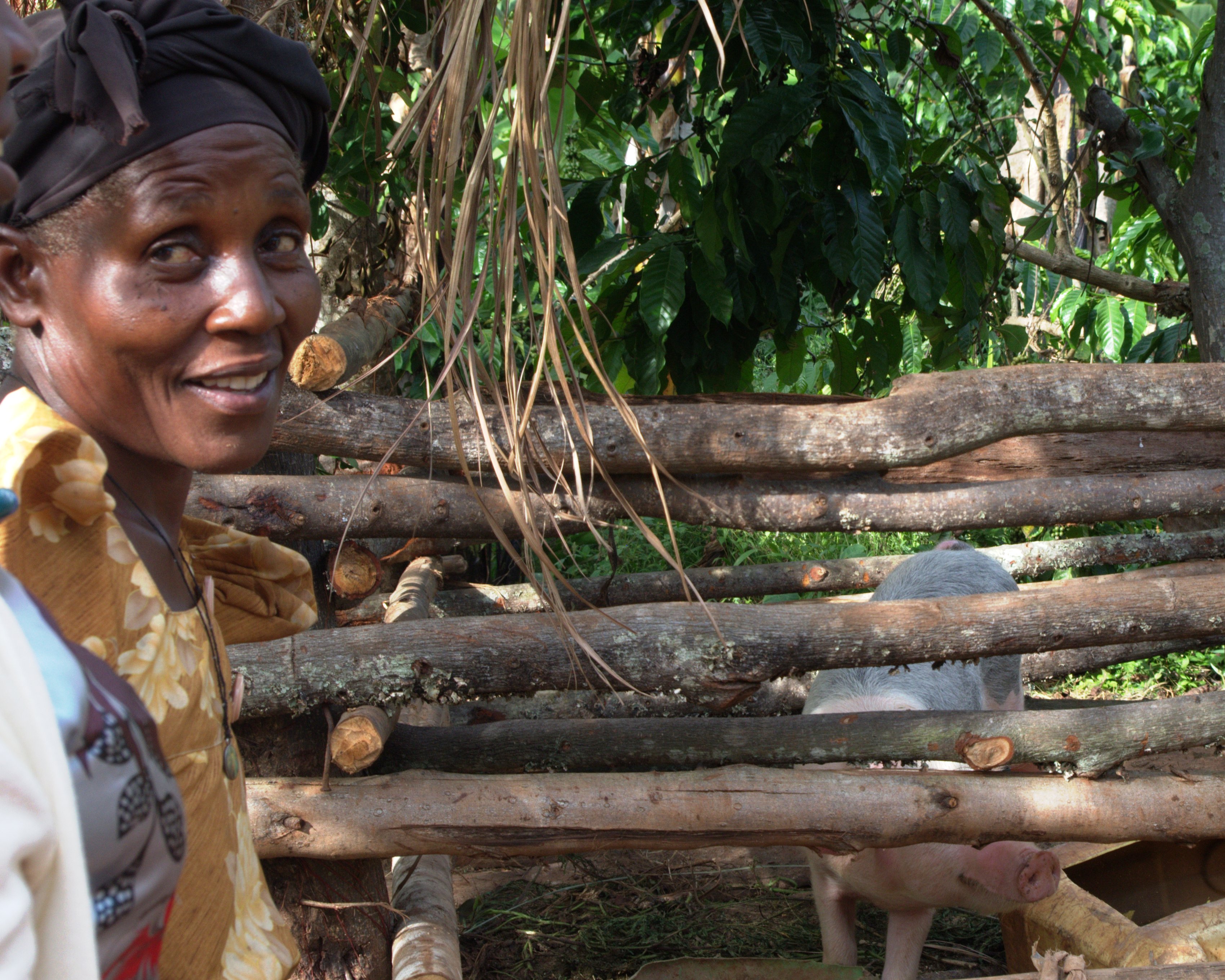 Photo 5 from MicroFinancing Partners in Africa