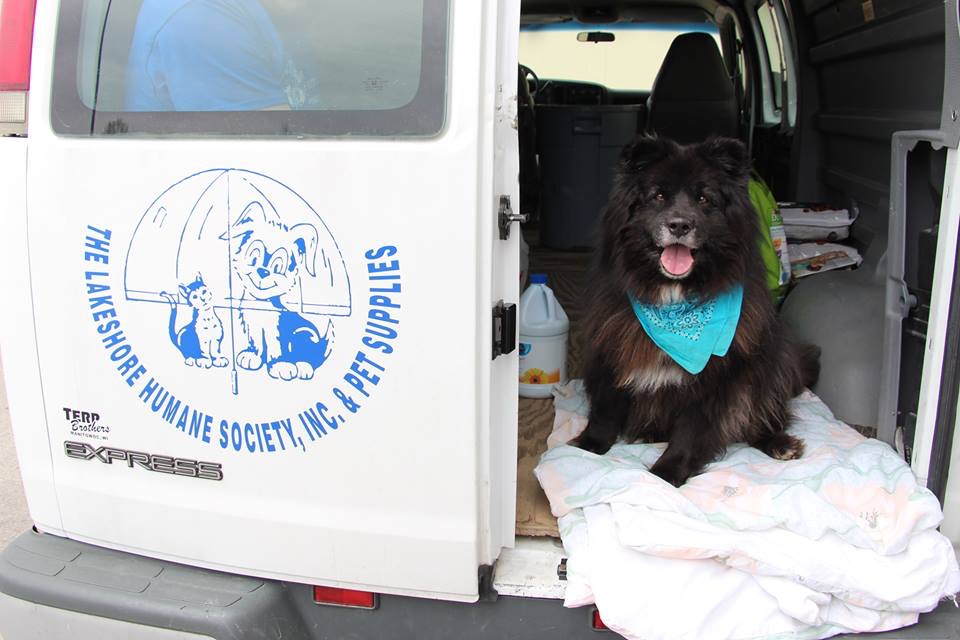 Photo 6 from Lakeshore Humane Society Inc