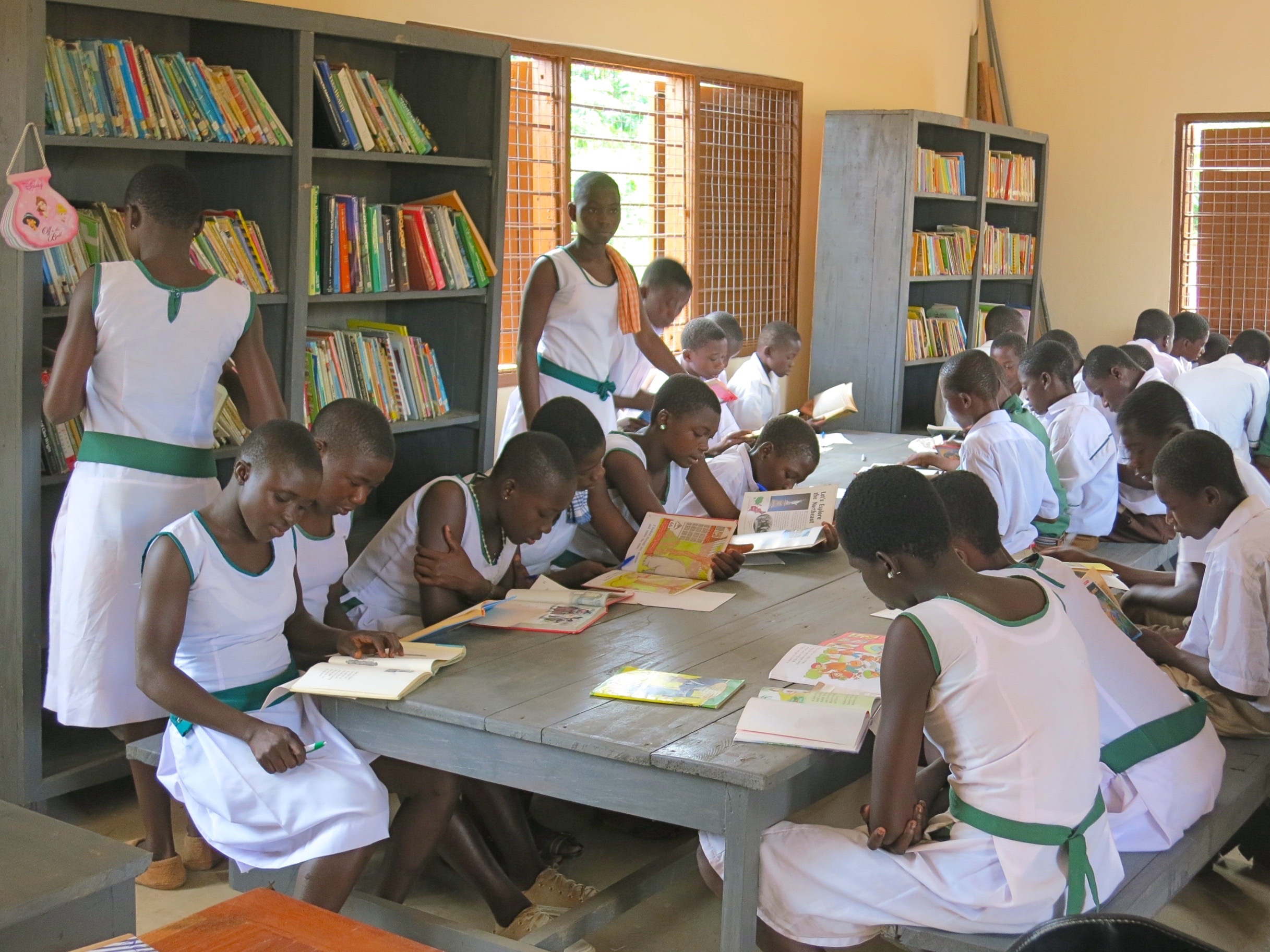 Photo 3 from African Library Project