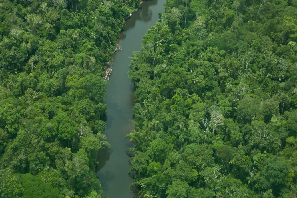 Photo 3 from Amazon Watch