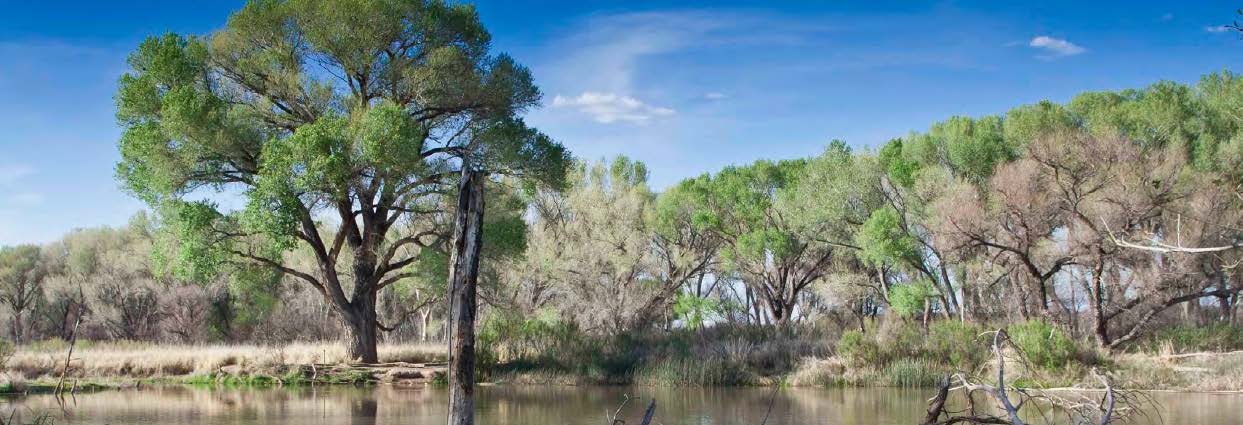 Photo 8 from FRIENDS OF THE SAN PEDRO RIVER INC