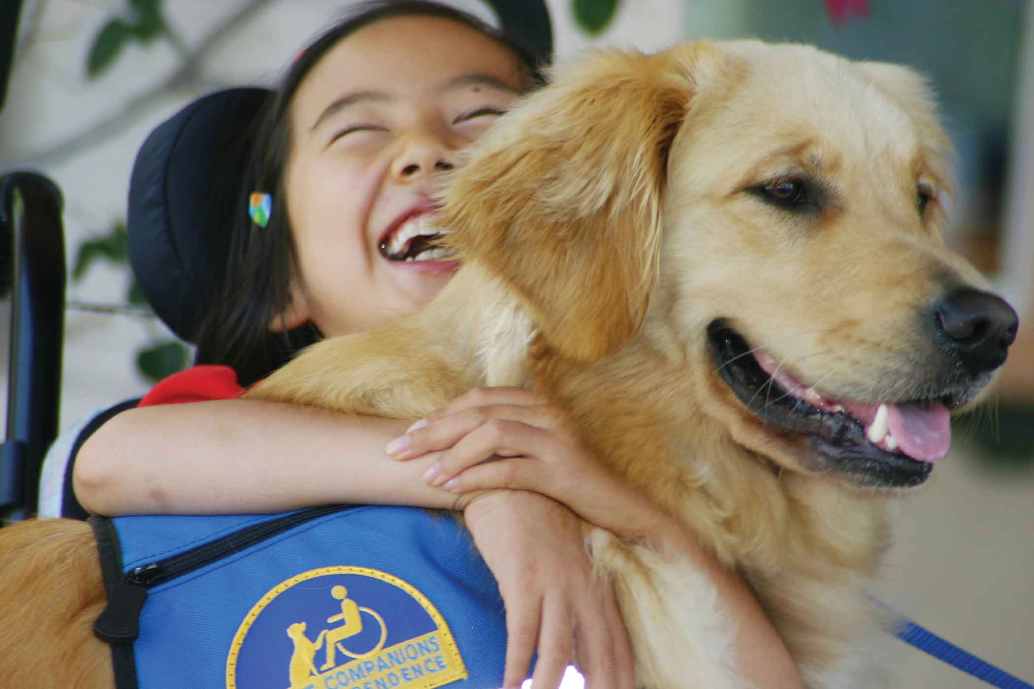 Photo 6 from Canine Companions for Independence