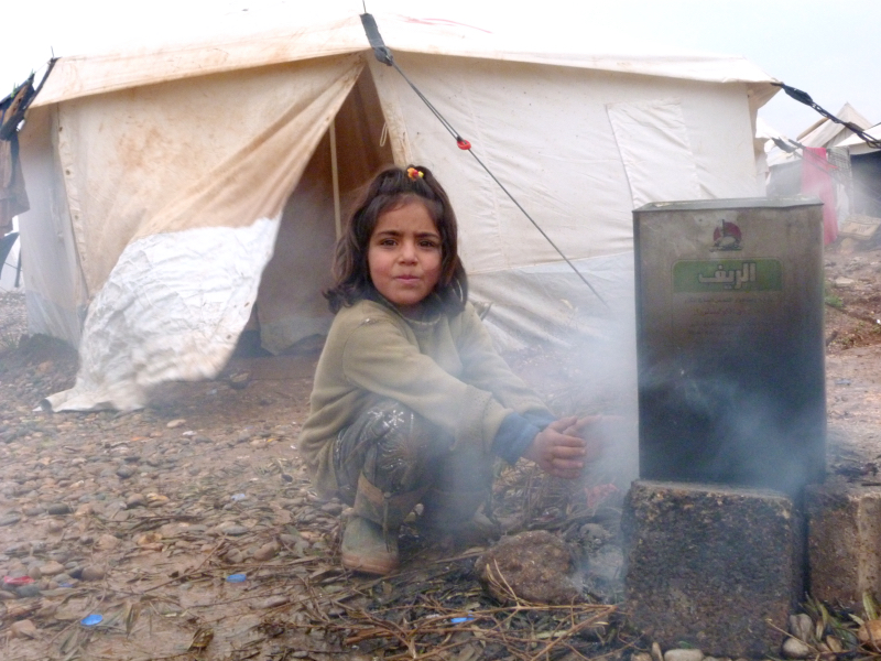 Photo 5 from GLOBAL REFUGE INTERNATIONAL                                           