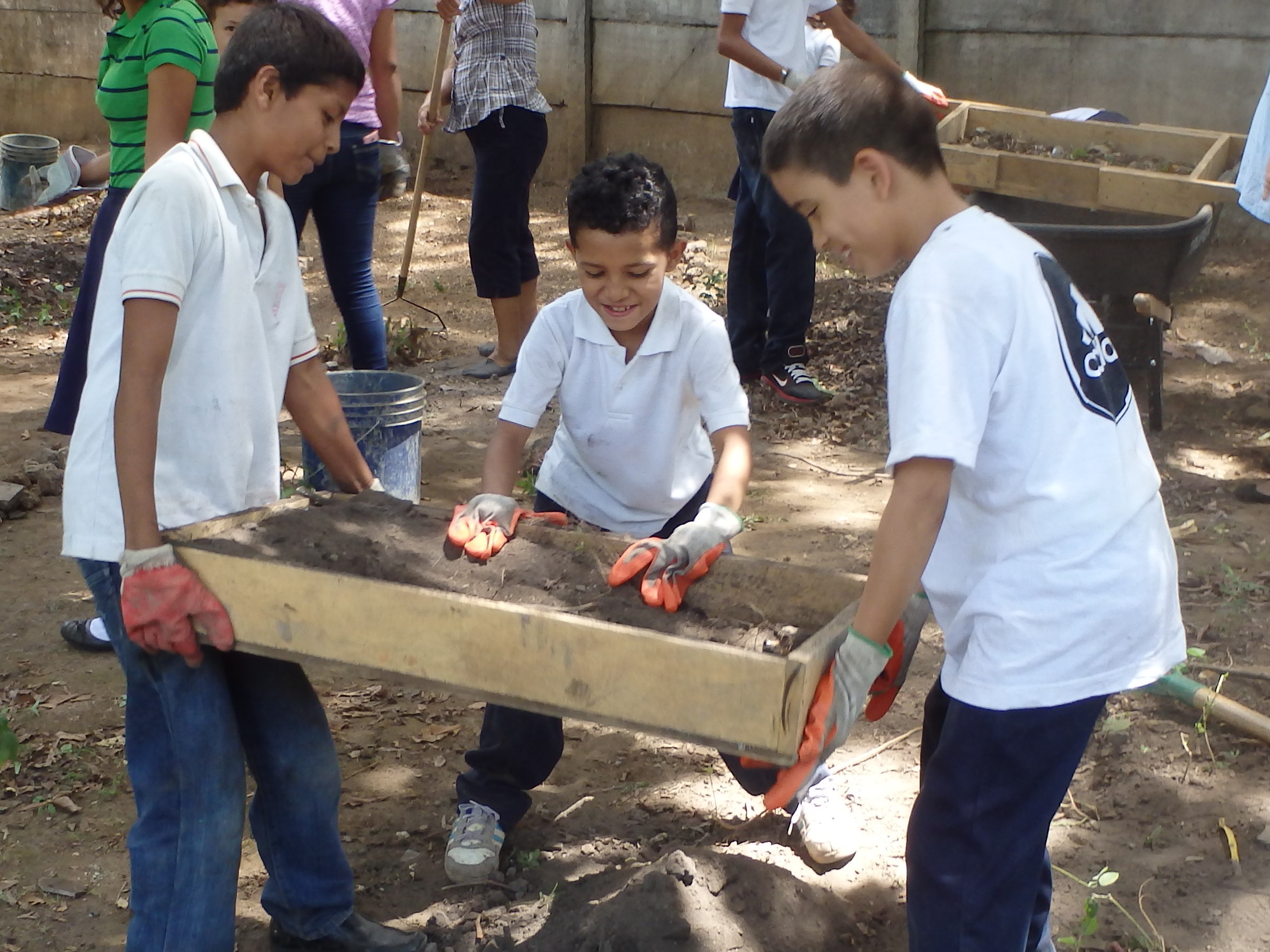 Photo 11 from FNE International