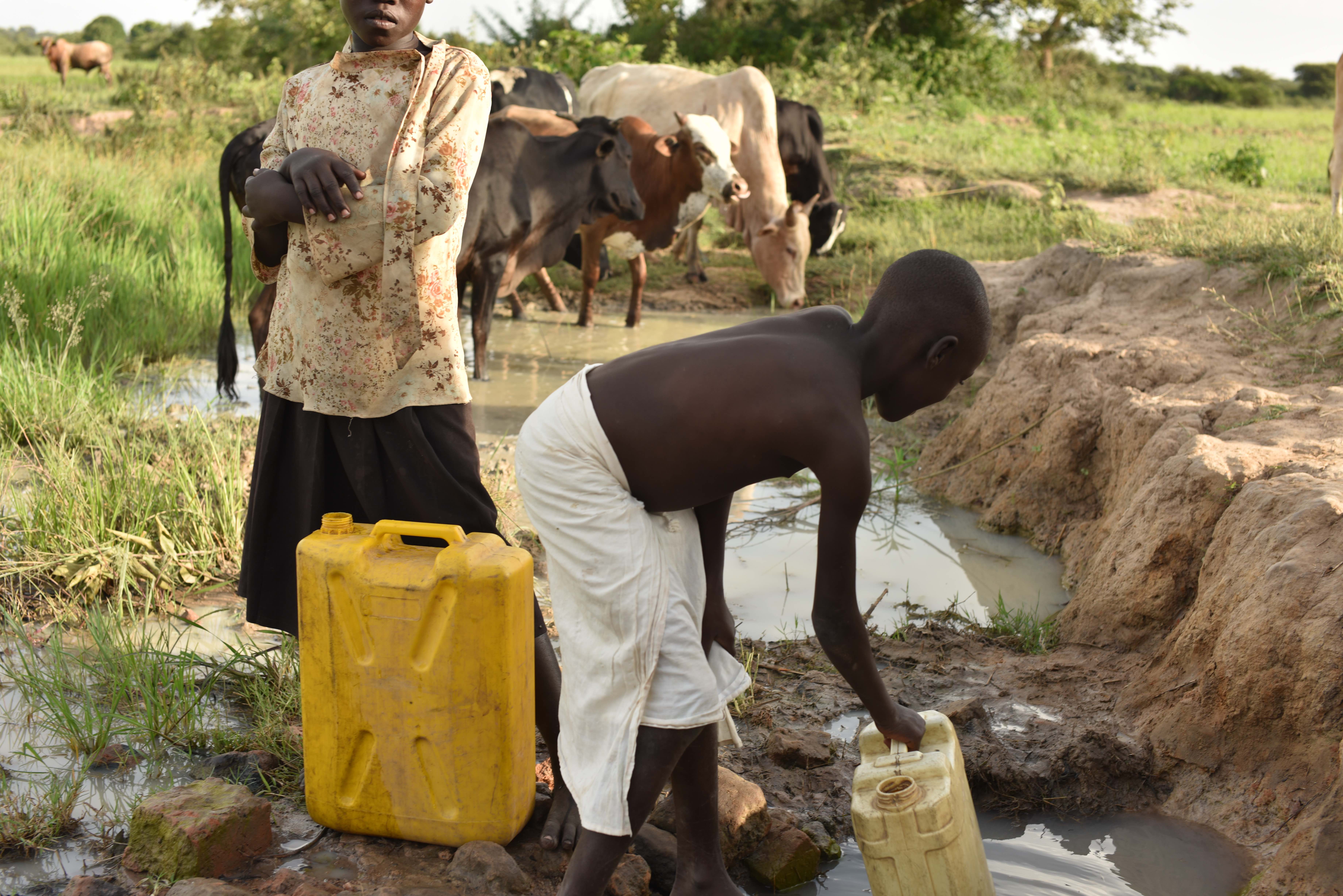 Photo 5 from Hope Missions International