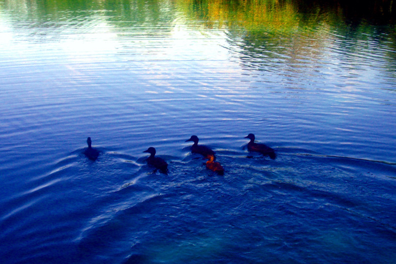 Photo 4 from FAIRFIELD COUNTY TEENWORKS INC