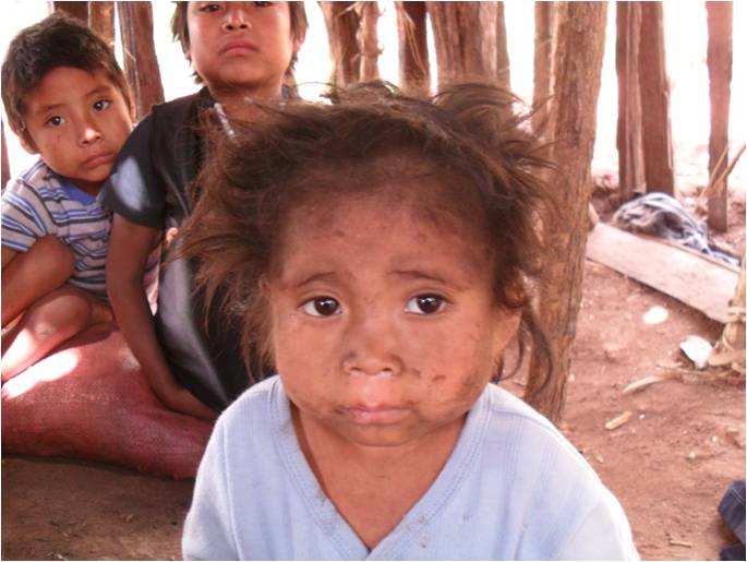 Photo 8 from THEN FEED JUST ONE INC