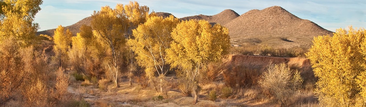 Photo 7 from FRIENDS OF THE SAN PEDRO RIVER INC