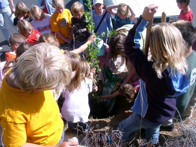 Photo 3 from SEQUOIA FORESTKEEPER