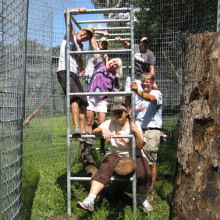 Photo 9 from JUNGLE FRIENDS PRIMATE SANCTUARY INC