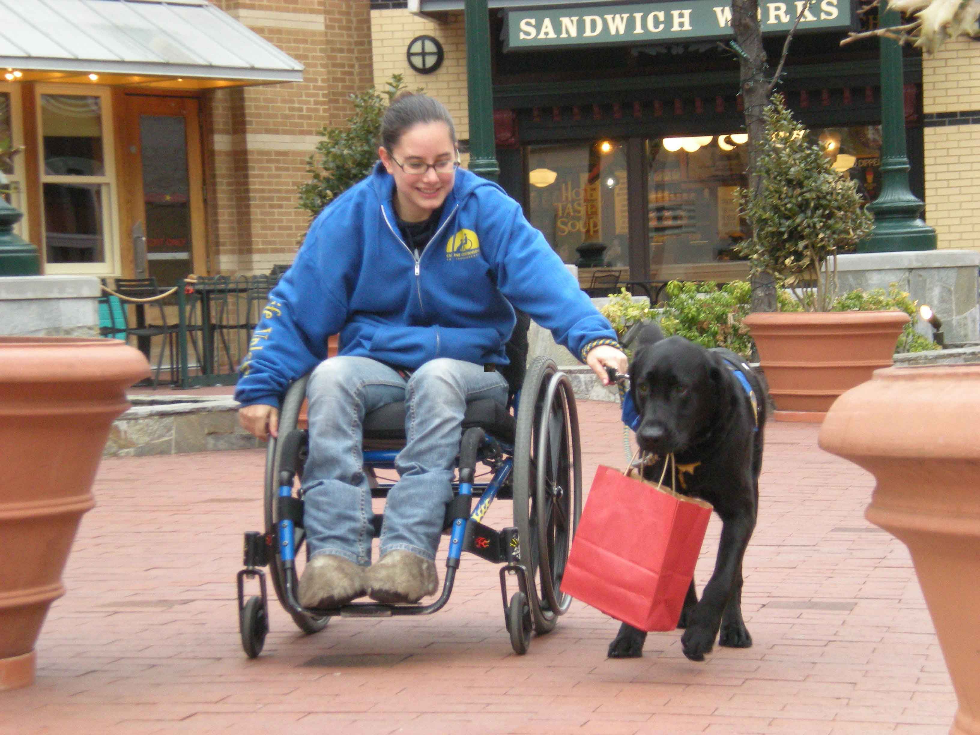 Photo 7 from Canine Companions for Independence