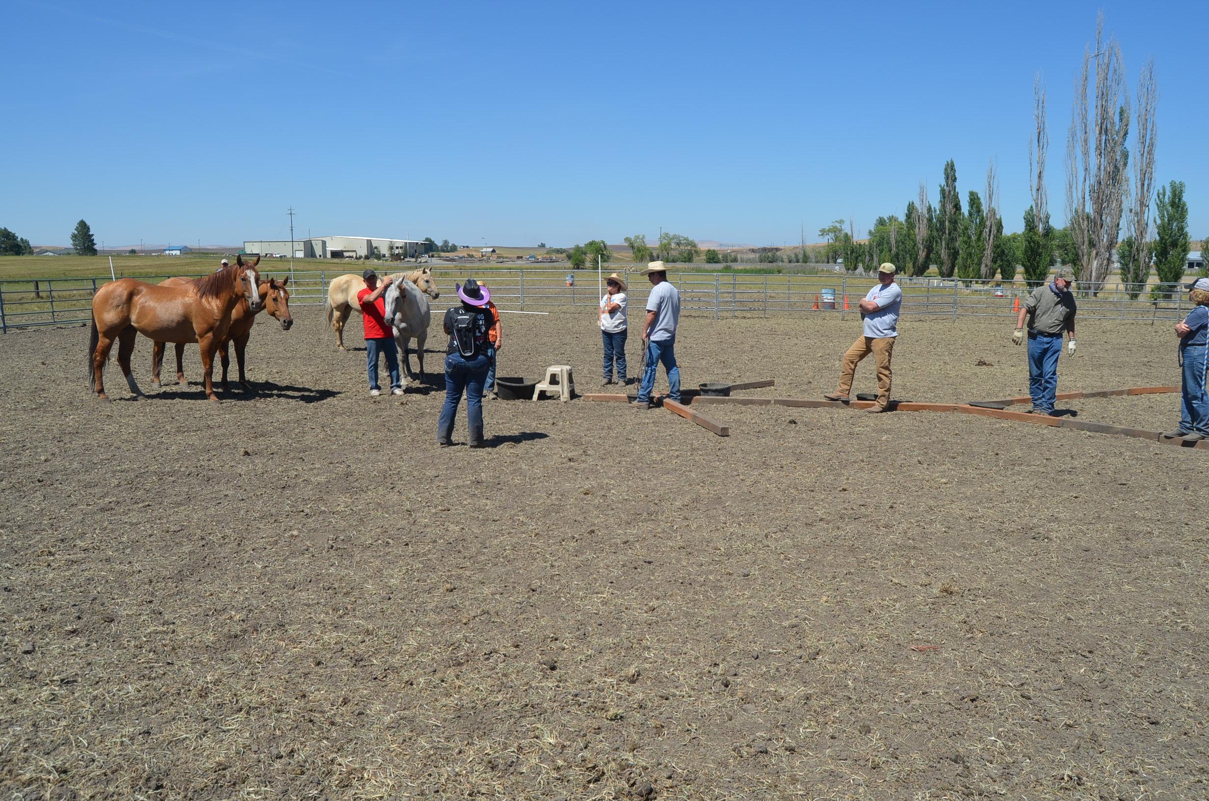 Photo 8 from Operation Horses and Heroes