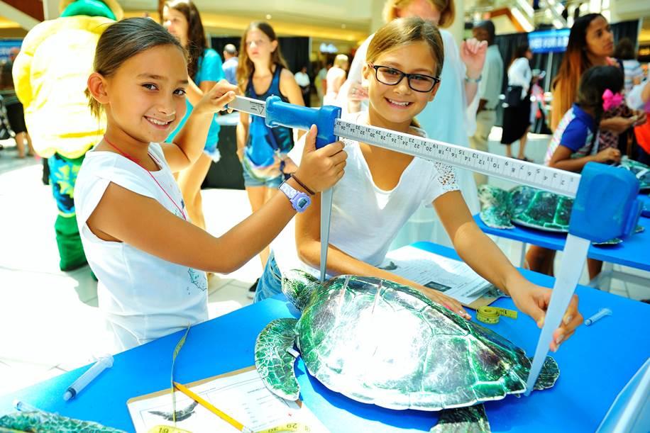 Photo 8 from Loggerhead Marinelife Center