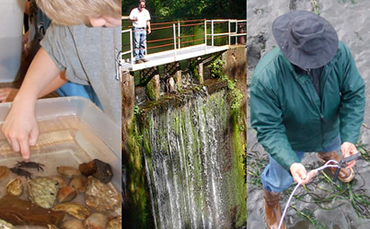 Photo 5 from TILLAMOOK ESTUARIES PARTNERSHIP