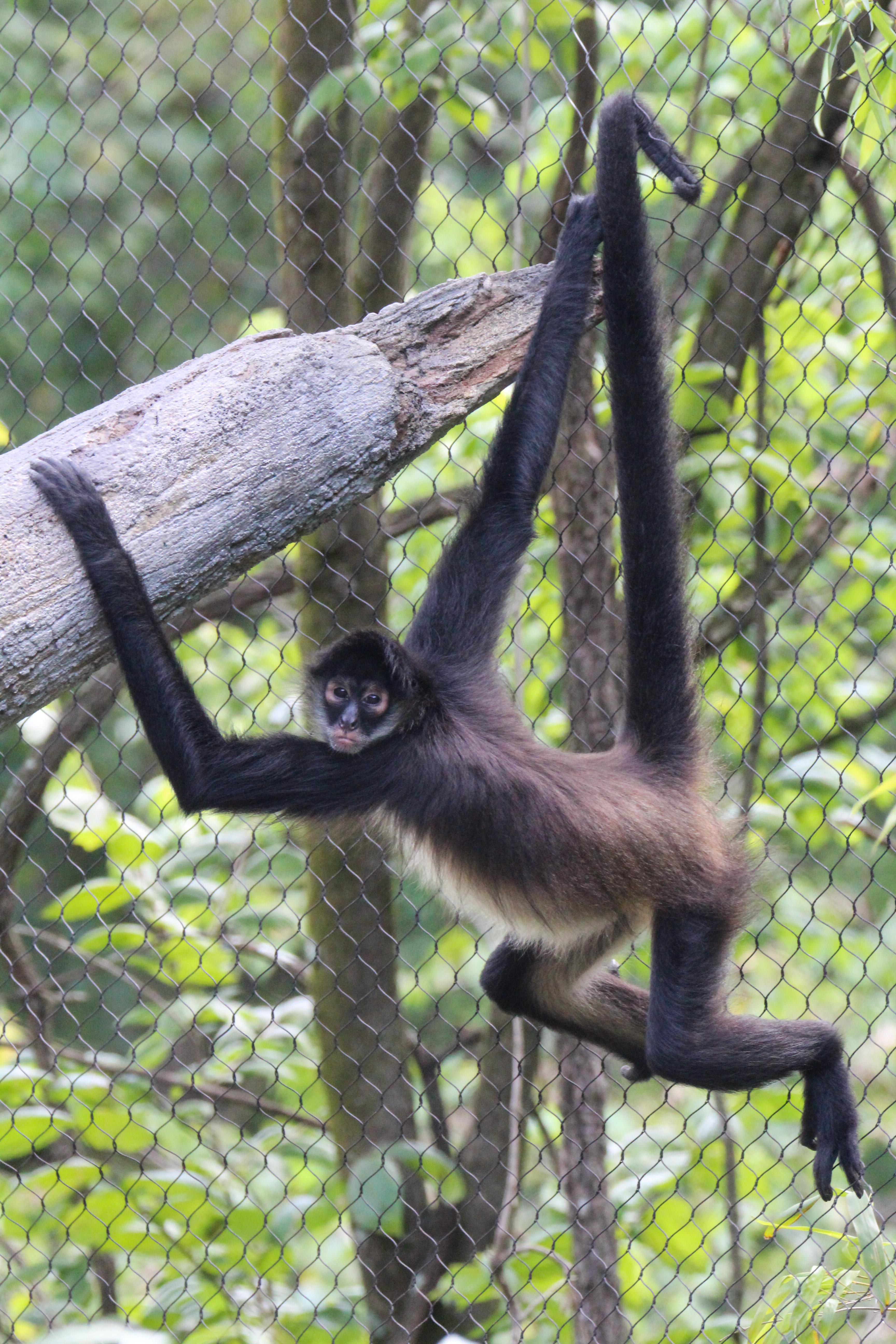 Photo 1 from Nashville Zoo