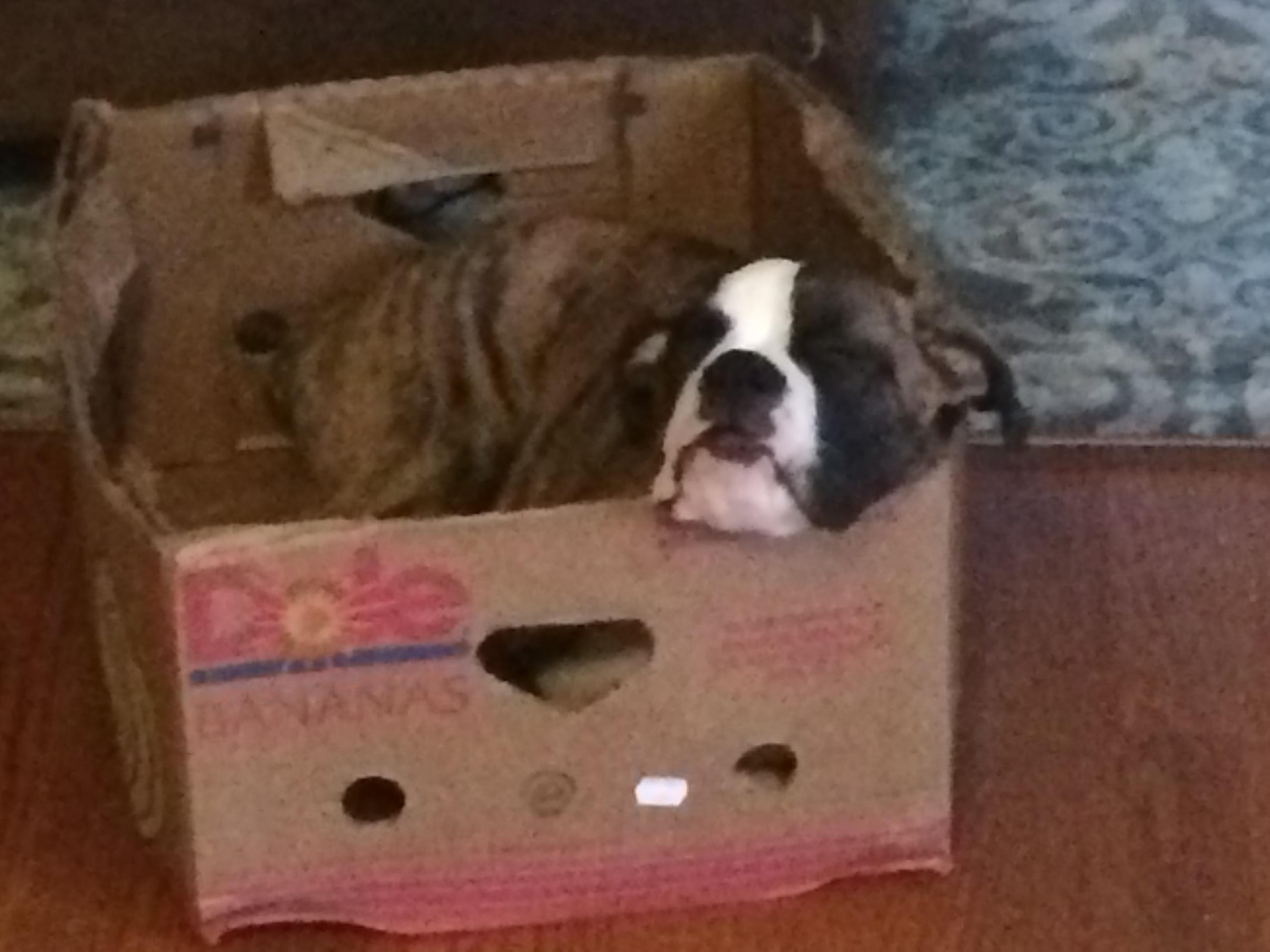 Photo 3 from HappyHubz, Inc.