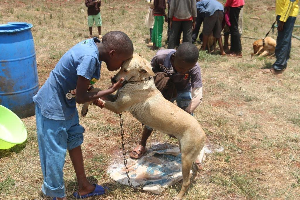 Photo 1 from AFRICA NETWORK FOR ANIMAL WELFARE