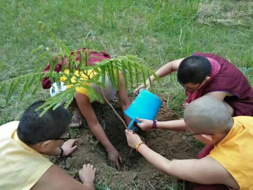 Photo 2 from HIMALAYAN CHILDRENS FUND