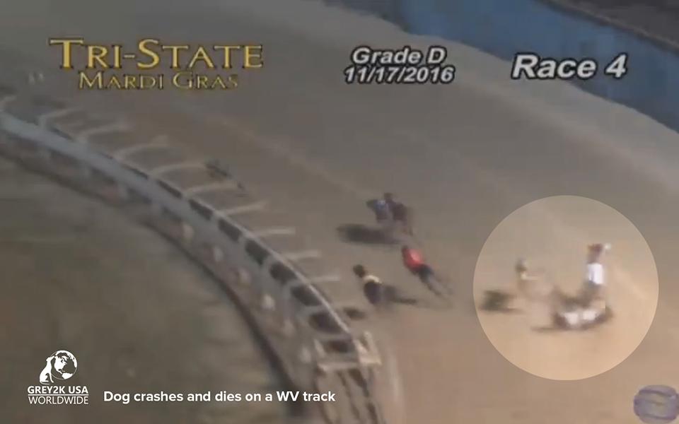 Photo 7 from GREY2K USA Worldwide